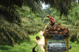 Special Dialogue Dengan Tema Menggapai Sawit Tetap Jadi Andalan Indonesia Saat Dunia Penuh Ketidakpastian