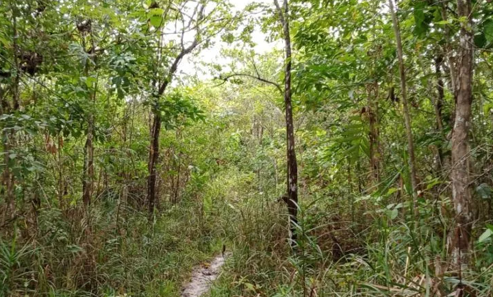 ITCIKU Kembalikan Lahan 7.787 Ha ke Masyarakat Penajam