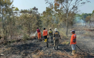 Tim Gabungan memadamkan karhutla di Nenang, Kecamatan Penajam, Kabupaten PPU, Minggu (3/9/2023)