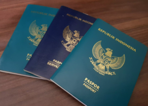 Negara bebas visa