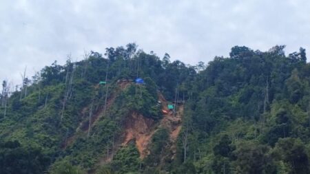 ESDM Tertibkan Tambang Ilegal, 321 Hektare Lahan Direstorasi