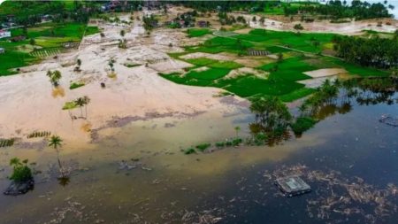 27 Ribu Hektare Sawah Terendam, Pertanian Sumatera Terpukul