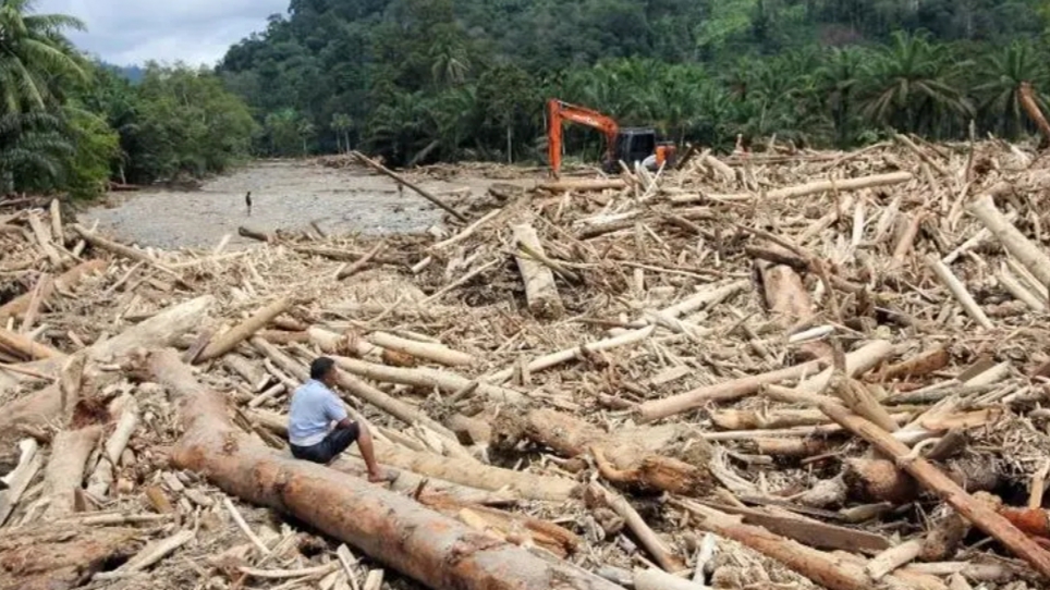 DPR Desak Pelaku Perusak Lingkungan Batang Toru Ditindak DPR Desak Pelaku Perusak Lingkungan Batang Toru Ditindak