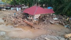 Jejak Perusak Hutan Sumut Terkuak, Bareskrim Siap Umumkan Tersangka Jejak Perusak Hutan Sumut Terkuak, Bareskrim Siap Umumkan Tersangka