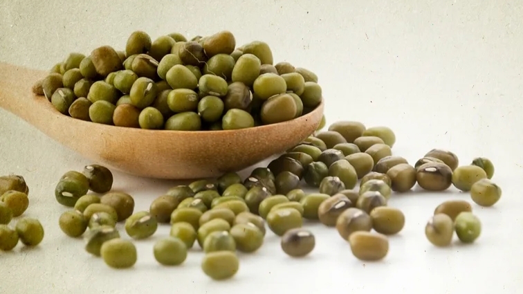 Riset BRIN Ungkap Kefir Kacang Hijau Bantu Gula Darah